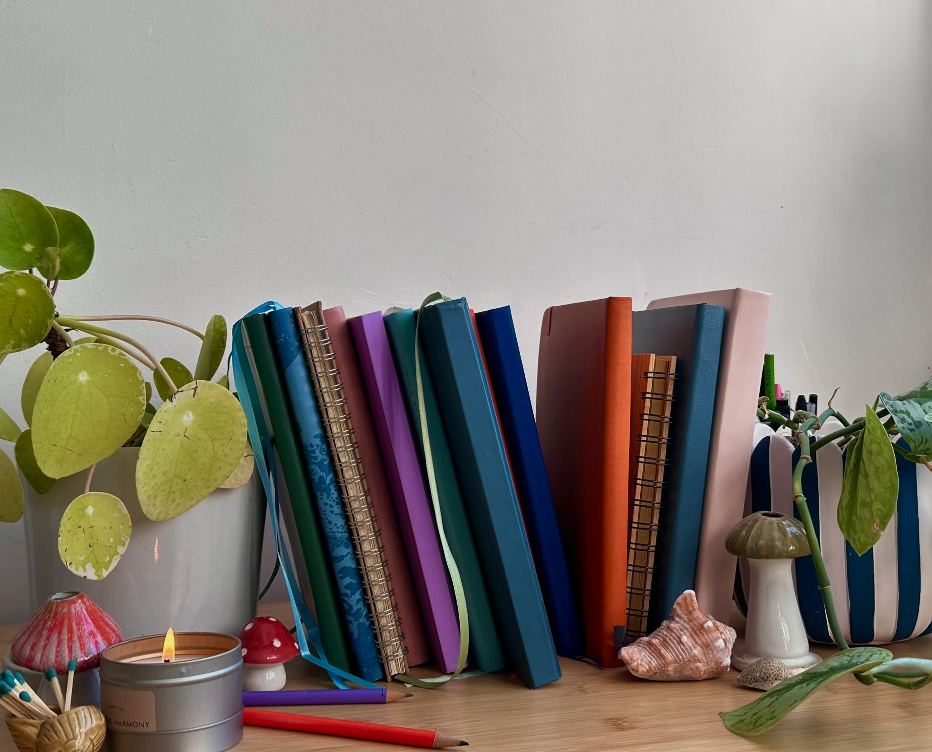A colourful row of journals and notebooks arranged with plants and small creative objects